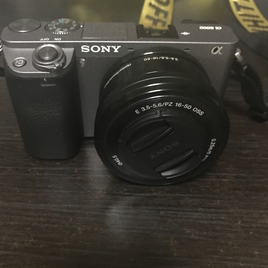 Sony A6000 + 16-50 kit lens